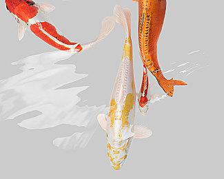 《怪物猎人崛起：曙光》新活动任务 奖励外观装备艾丽西亚